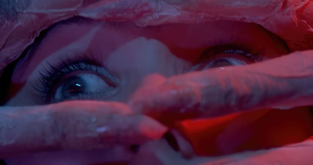 Simone Scafidi’s DARIO ARGENTO PANICO. Courtesy of Shudder. A Shudder Release.