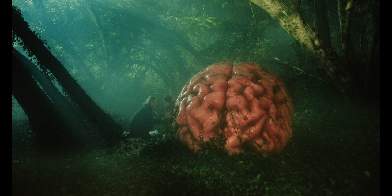 Rumours: Political Satire Meets Giant Brains & Bog People [Trailer]